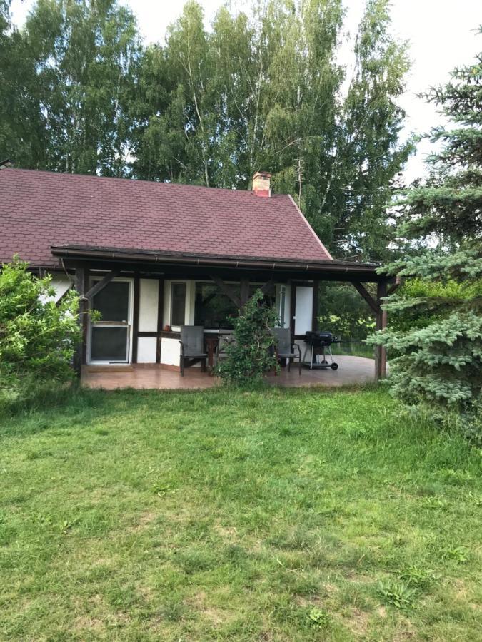 Balbina Villa Wilczany Bagian luar foto